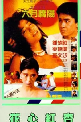 他的蜜千九十小说免费阅读